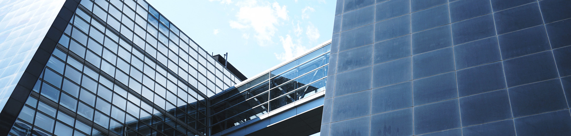 免费a级毛片免费看